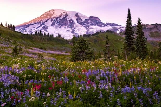 National Public Lands Day and How You Can Help