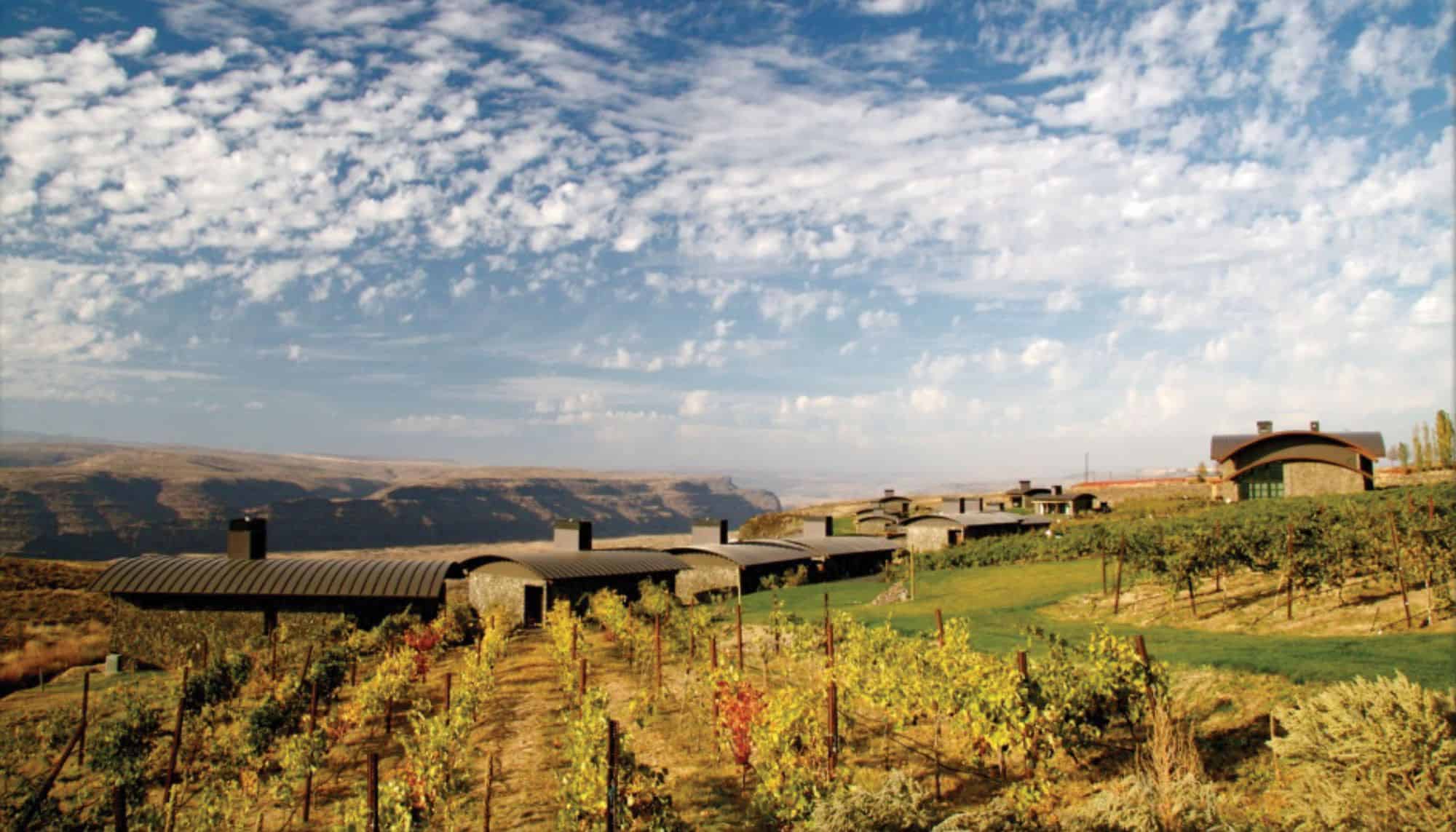 Why Ancient Lakes is Washington's Most Exciting New Wine Region