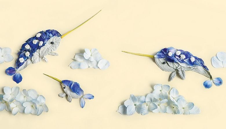 A Local Artist and Writer Uses Found Flora for These Fantastic Facsimiles