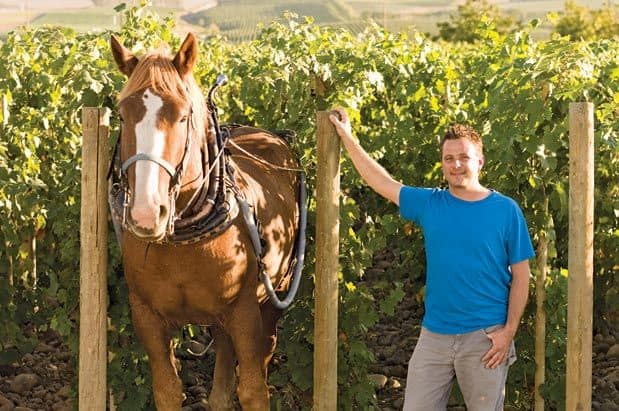 Washington Wine's New Guard