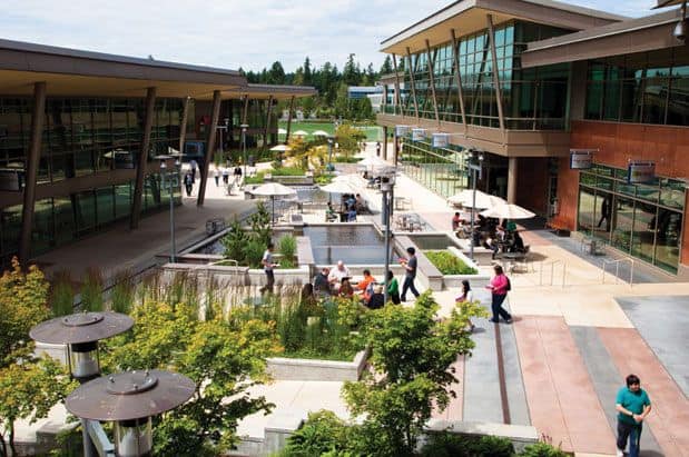 A Shift in the Work Environment: Density is the New Incubator