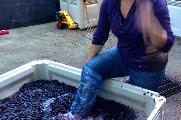 Where to Crush Grapes in Woodinville's Wine Country