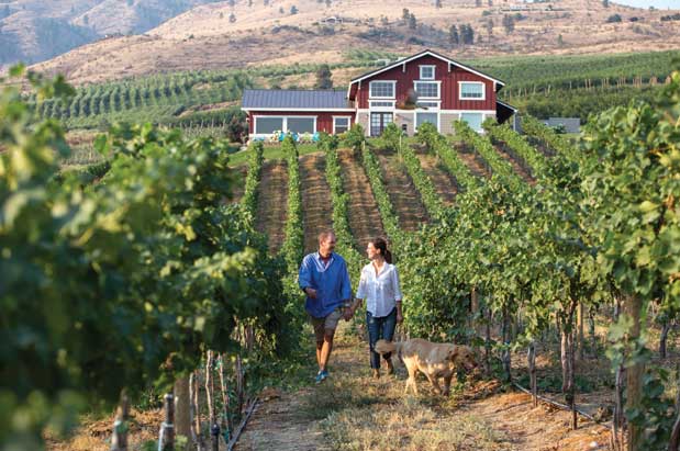 Washington Wine Country Getaways: Columbia Valley