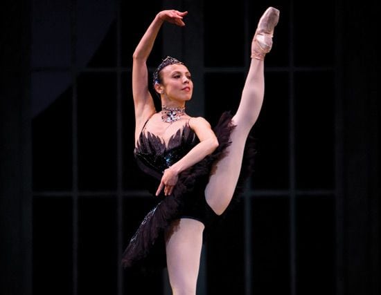 Black Swan Lands at PNB