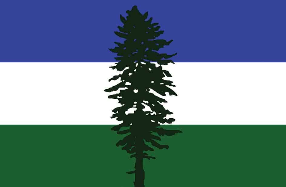 The Needling's 2019 Year in Review: Mother Earth Rocks Washington with a 4.6 Earthquake
