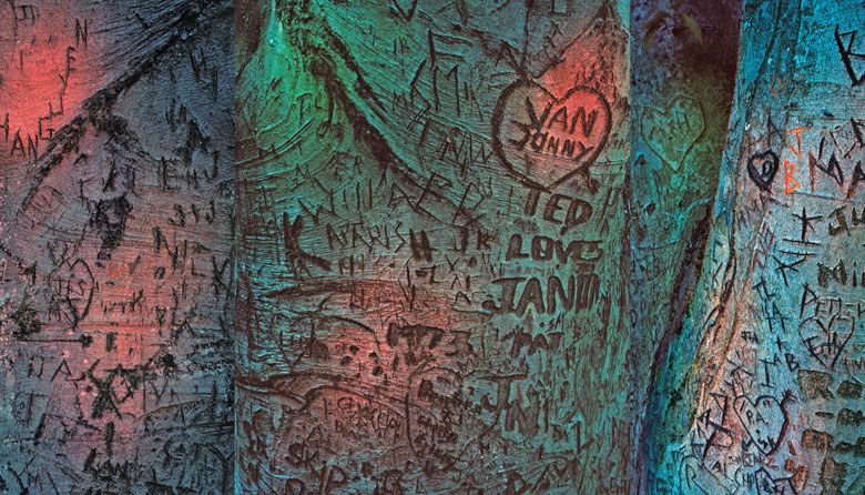 15 Best Things To Do in Seattle in November 2018