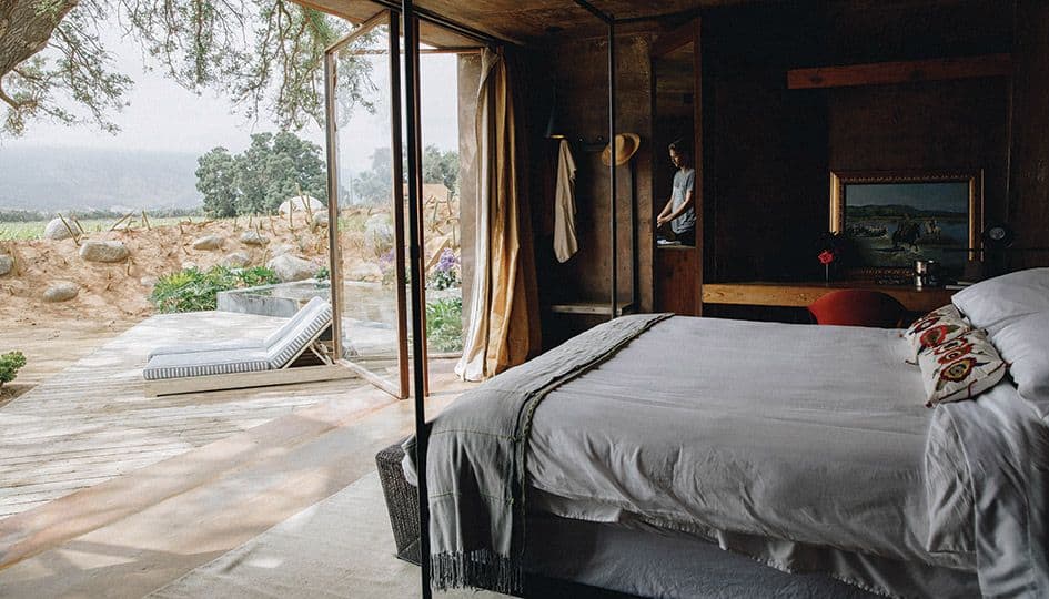 In Valle de Guadalupe, the Desert’s Lack of Water Becomes World-Class Wine