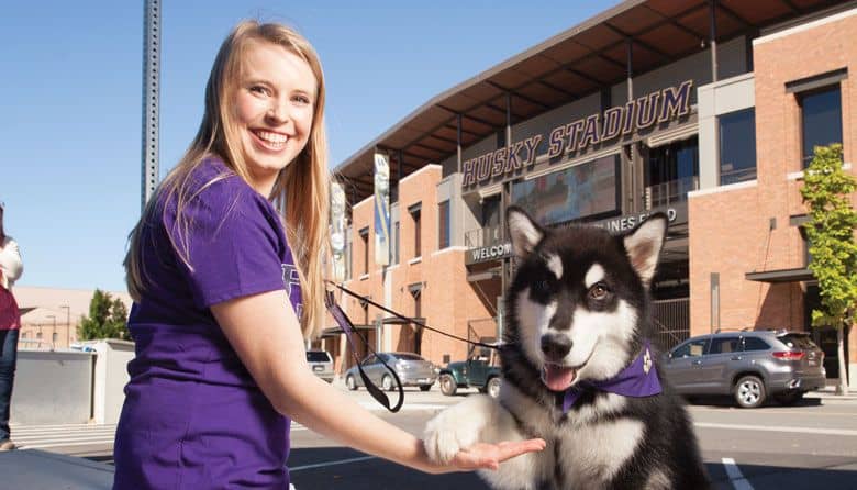 Meet the Trainer for Dubs II, University of Washington Football Mascot