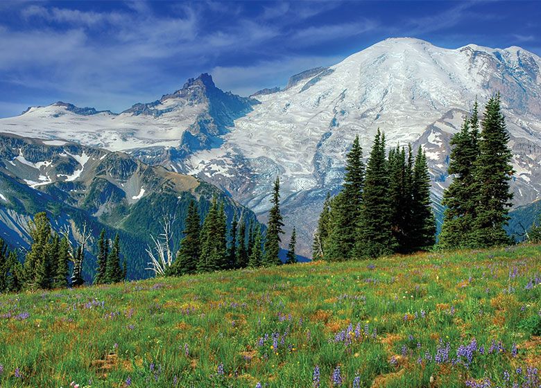 Holiday Gift Guide: The Gift of Adventure