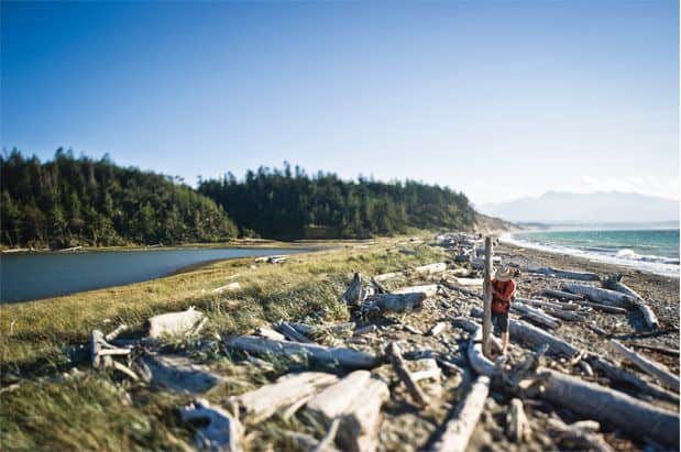 Beach Combing and Wine Tasting Across the Olympic Peninsula
