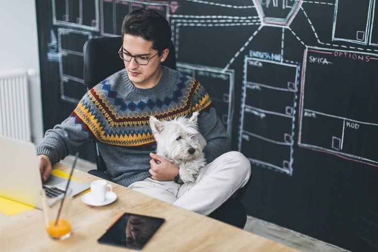 Has Seattle Gone Too Far With Dogs in the Office?