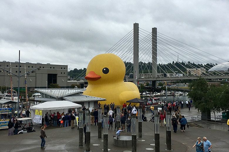 What a Long, Strange Year It's Been