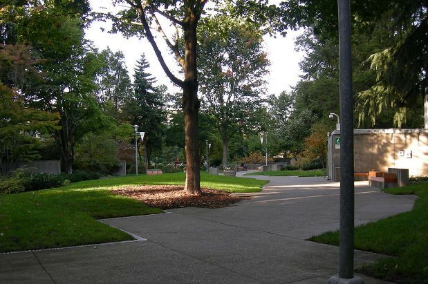 Public Hearing on Smoking Ban in Parks, Streetcar Ads
