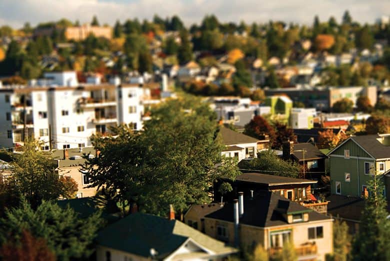 The Struggle to Save Seattle’s Urban Trees in the Face of Development