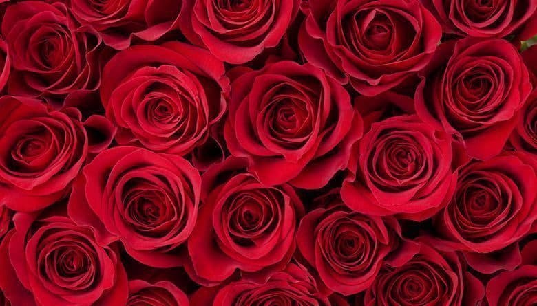Our Guide to the Best Valentine's Date Ever