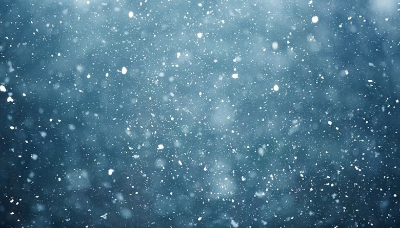 Seattle Has Snow on Its Brain