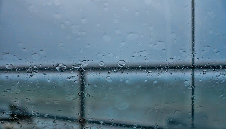 Do Locals Really Love the Rain?