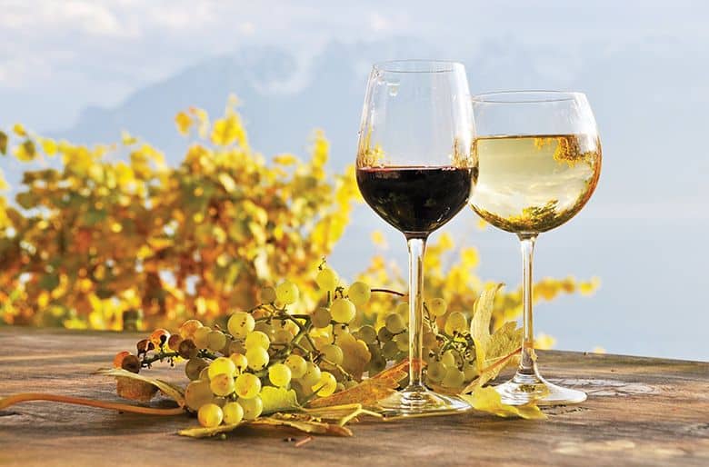 Fall Might be Washington's Best Wine-Drinking Season