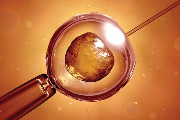 Freezing and Preserving Fertile Eggs for Future Pregnancies