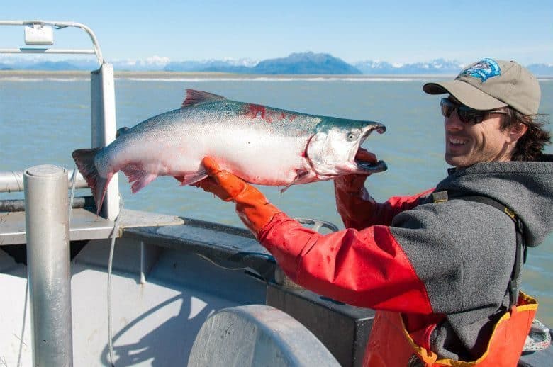 The Fight to Preserve Salmon in the Pacific Northwest