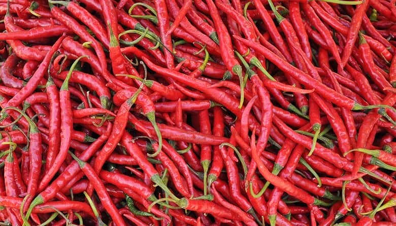 Must List: Hot Sauce Fest, Big Day of Play, Mini Maker Faire
