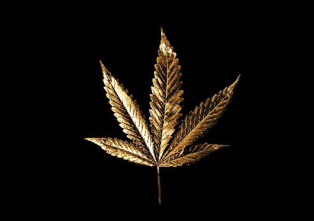 Joint Venture