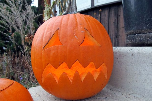 Pumpkin Thief, an Amazon Pop-Up & More News