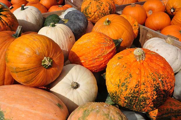 11 Fall Festivals & Haunted Events to Attend