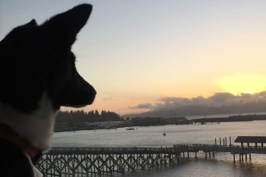 New in Town: A Birthday Getaway in Bellingham