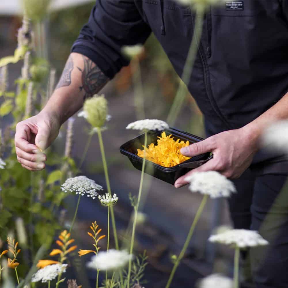 Renewal at the Farm Table