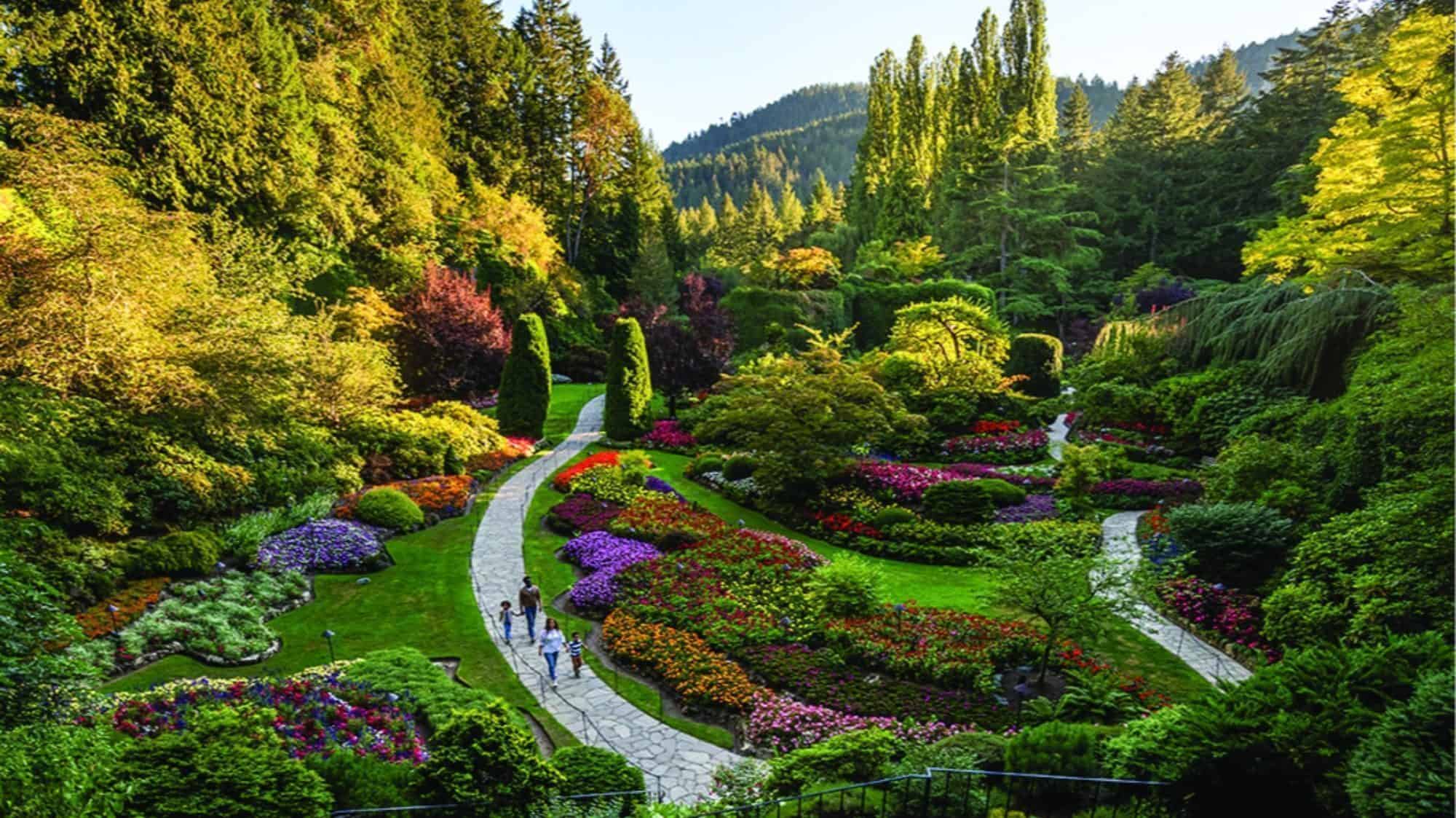 A scenic garden with vibrant flowerbeds, winding stone paths, and towering trees in the backdrop. A few people walk along the paths, enjoying the lush greenery and colorful blossoms, while others savor dining delights inspired by Victoria BC's forage-to-fork feasts.