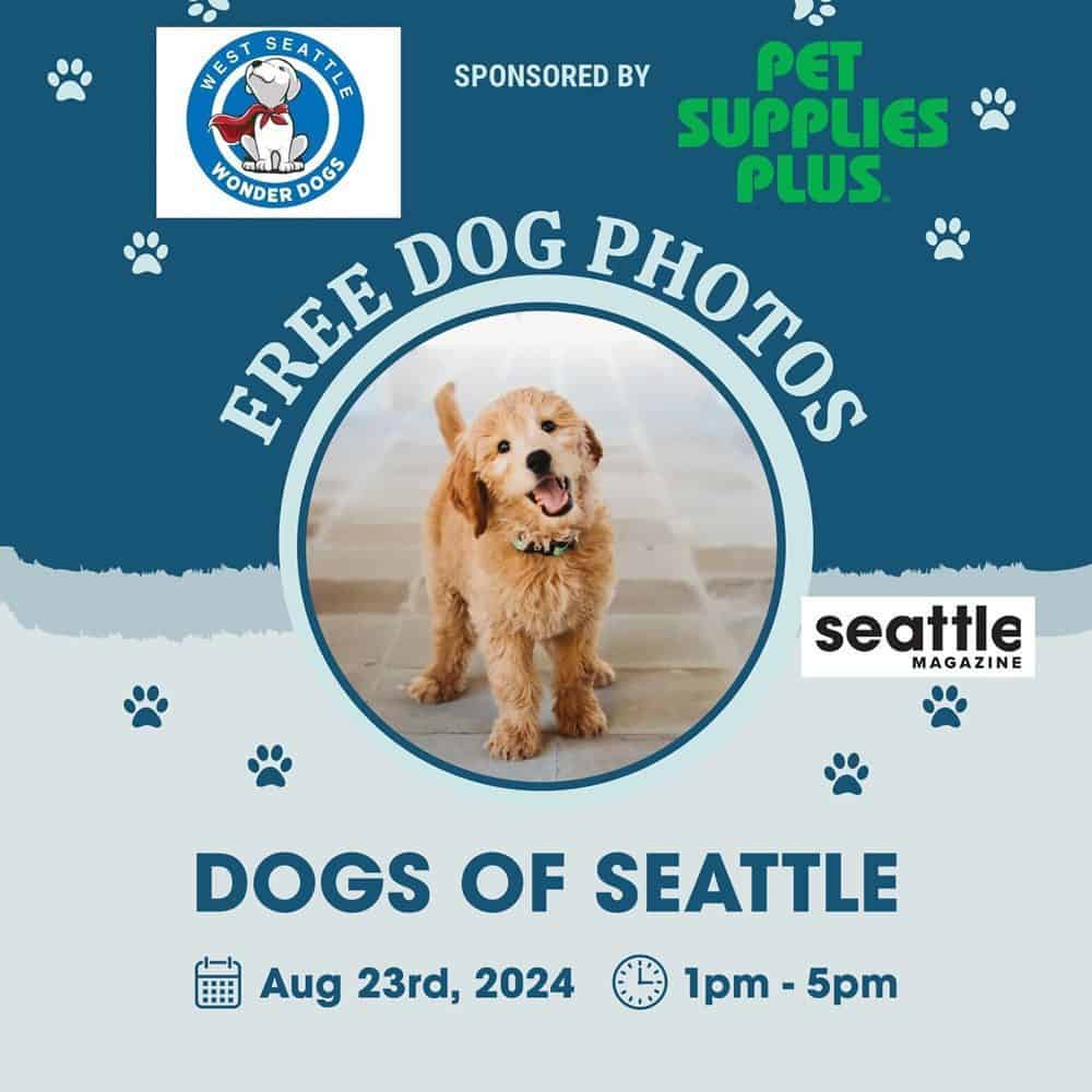 Dogs of Seattle