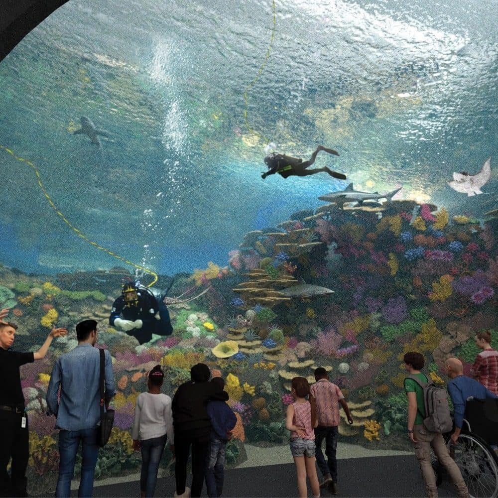 A Tropical Reef in the Pacific Northwest