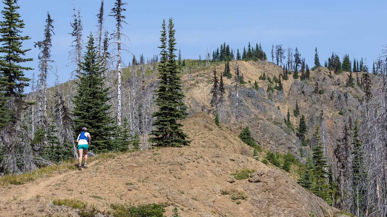 A person in athletic gear is engaging in a stunning run on a trail through a mountainous area with scattered evergreen trees and clear skies.