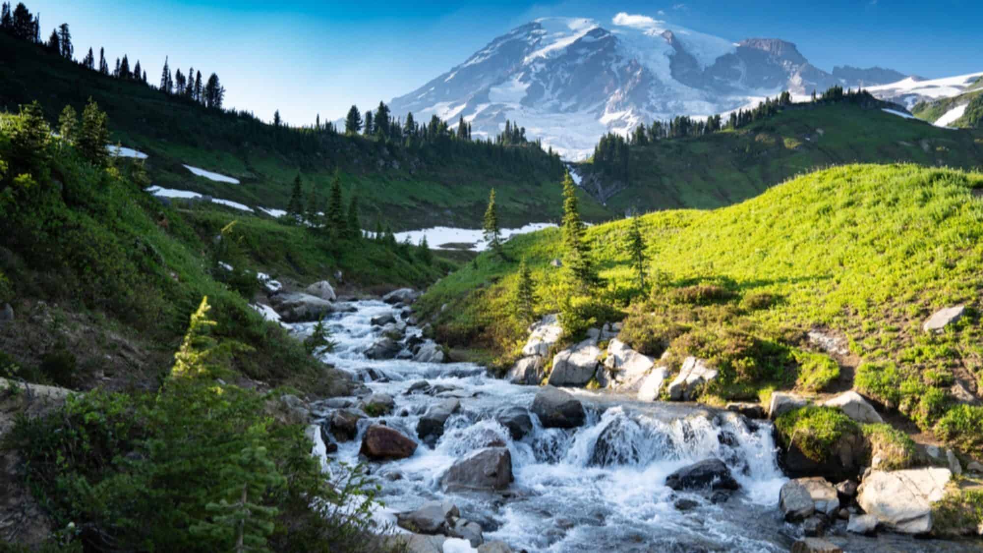 A clear stream flows through a green, mountainous landscape with a snow-capped peak in the background under a clear blue sky. Enjoy the breathtaking views at this serene park, where you can also benefit from free parking.