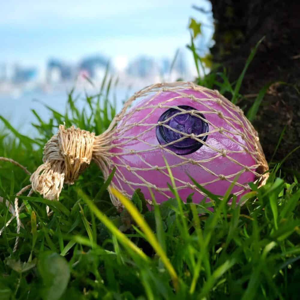 Afloat in West Seattle