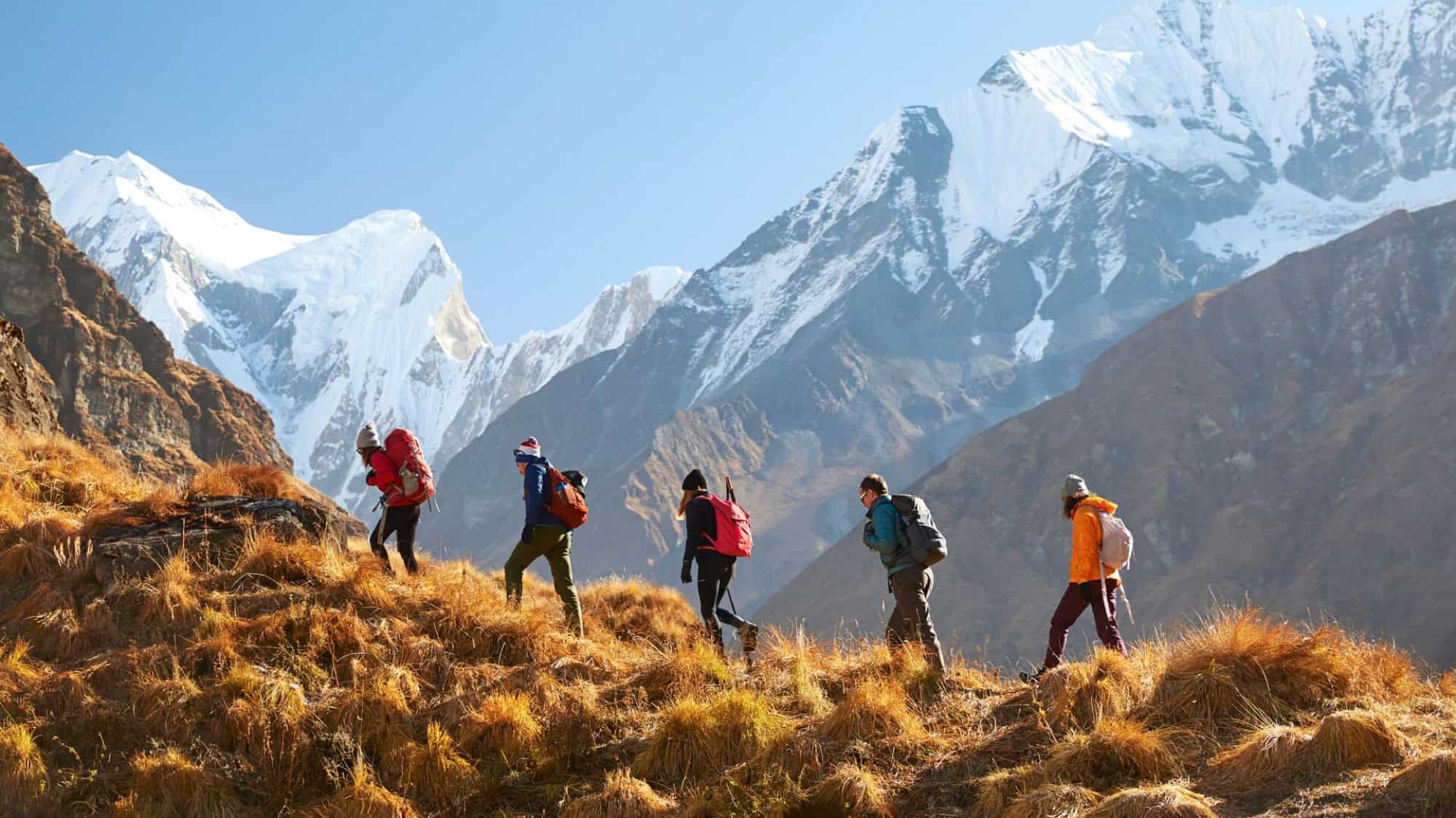 Five hikers with backpacks walk uphill on a grassy mountain trail with snow-covered peaks visible in the background under a clear sky.