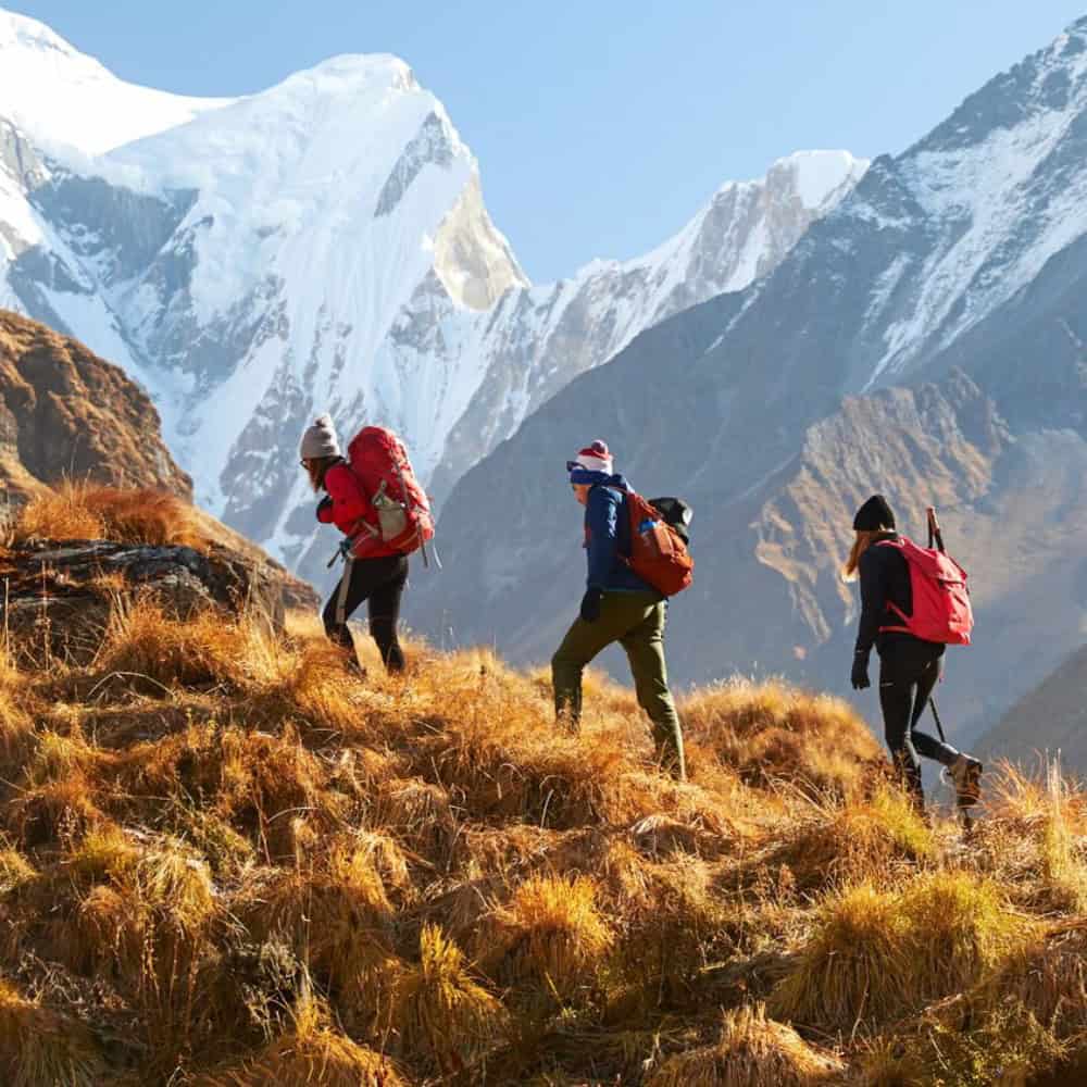 The Rise of the Experience Economy