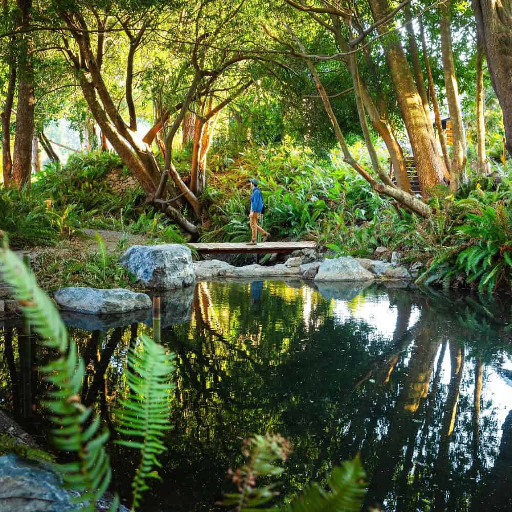 The Secret Language of Tu Tu’ Tun River Lodge