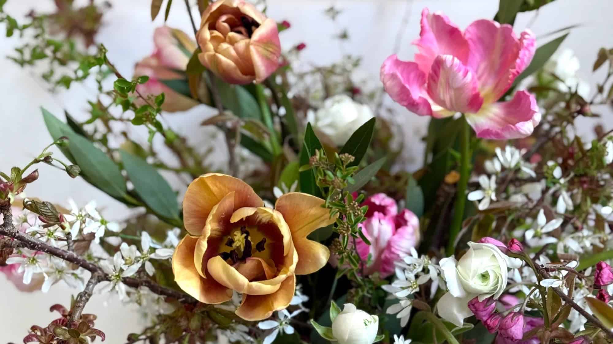 A bouquet of various flowers including brown tulips, pink striped tulips, white ranunculus, and small white blossoms with green leaves and stems captures the early signs of spring among fresh green sprawls and the crocuses.