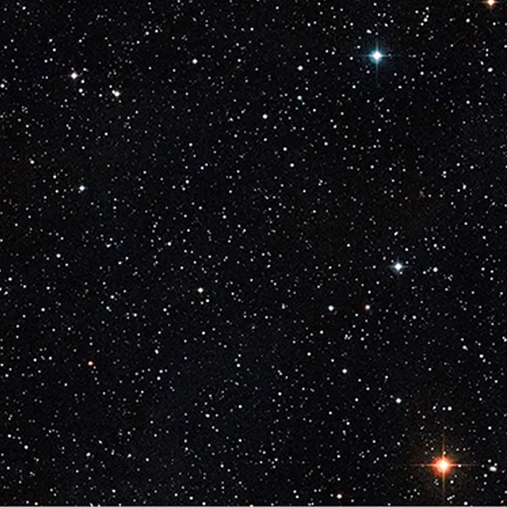 Artist Dylan Neuwirth Explores His Past in a New Short Novel 