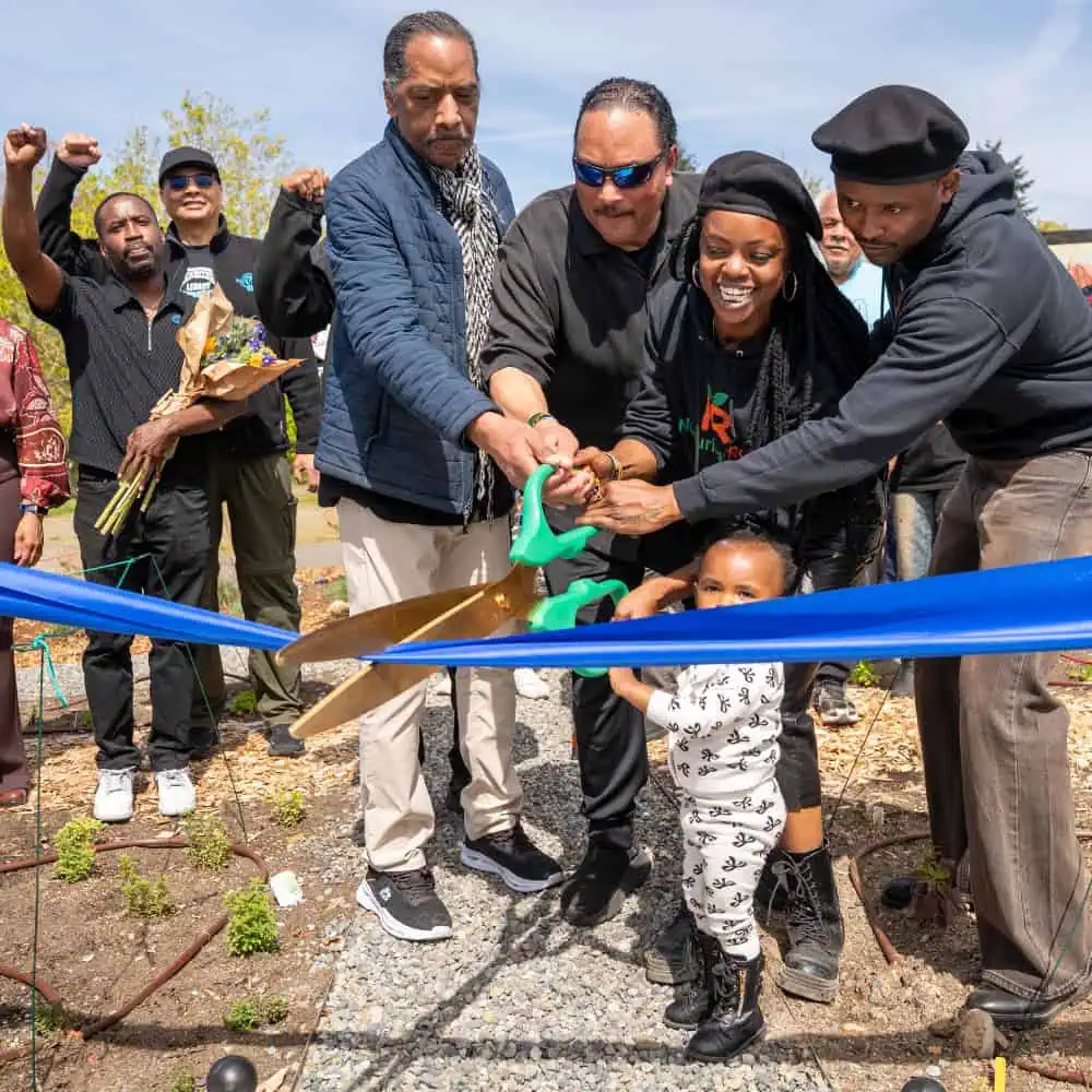 Black Panther Park in Skyway Becomes First Black Panther Park in the World