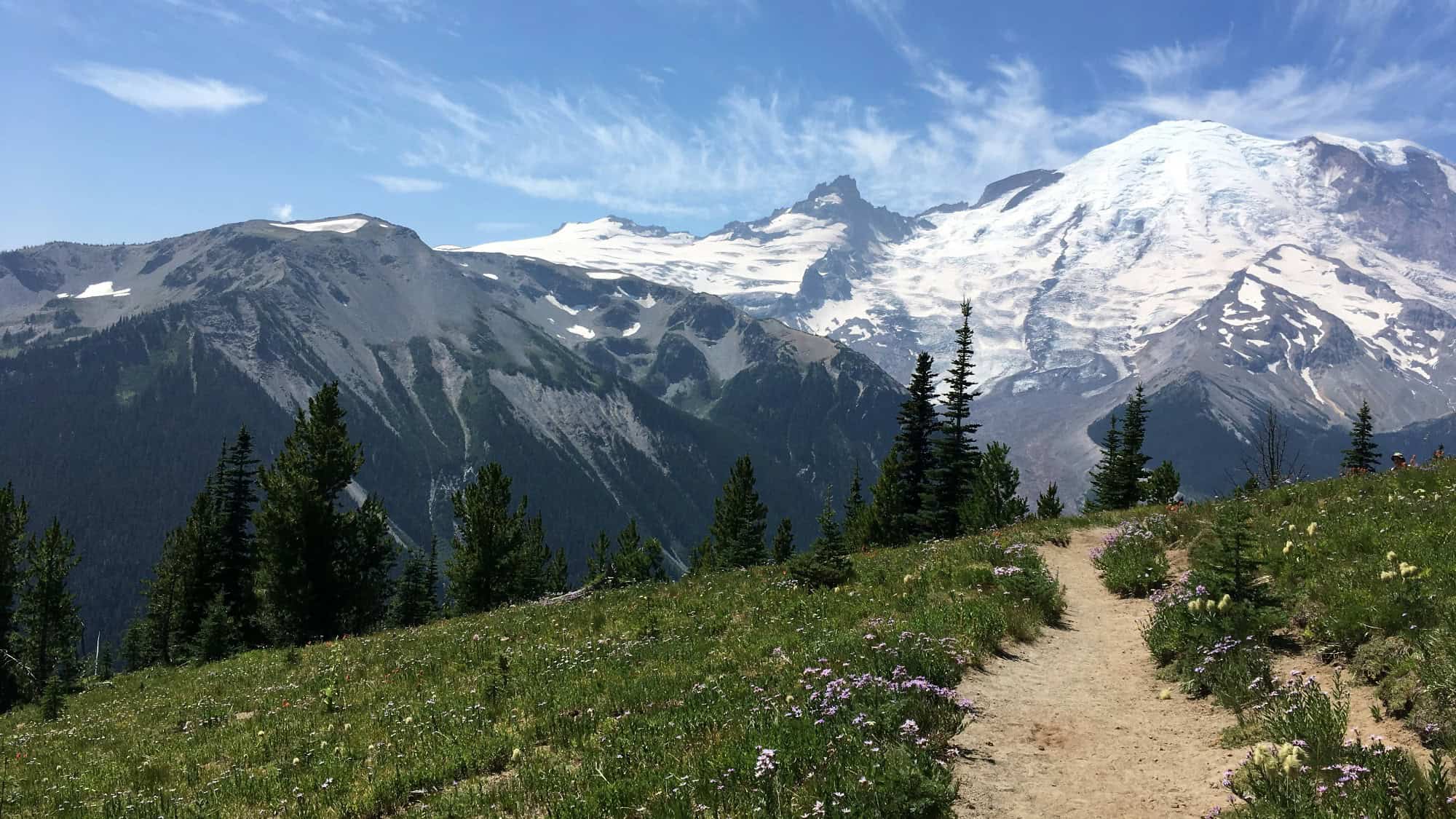 Dirt hiking trail leads through a grassy meadow with wildflowers toward snow-capped mountains and a blue sky with wispy clouds.