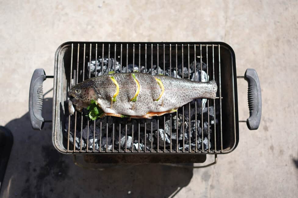 How to Grill Fish in Foil on Gas Grill: Easy, Flavorful Tips
