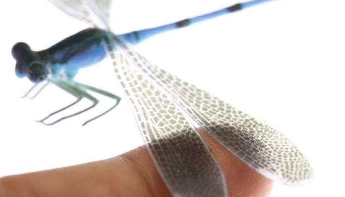 clear ink effect
