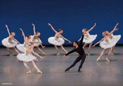 Nyc Ballet Schedule 2022 New York City Ballet | Nutcracker, Fall, Winter, Spring, Swan Lake