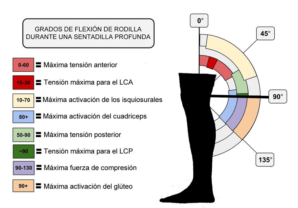 forma de sentadilla incorrecta