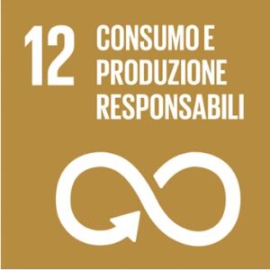 SDG 12 ita