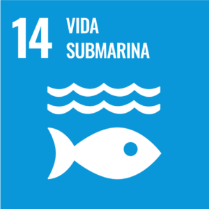 sdg 14 esp