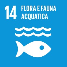 sdg 14 ita